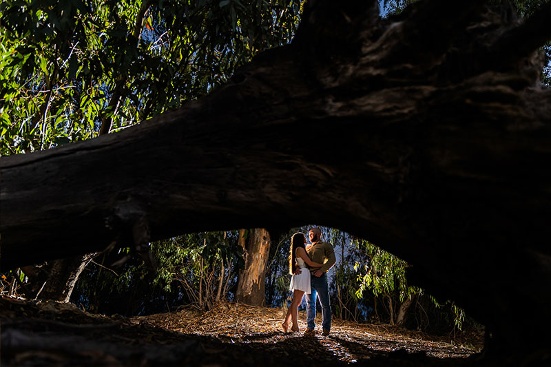 palm-photography-couple-Shoots-37