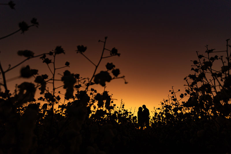 palm-photography-couple-Shoots-44